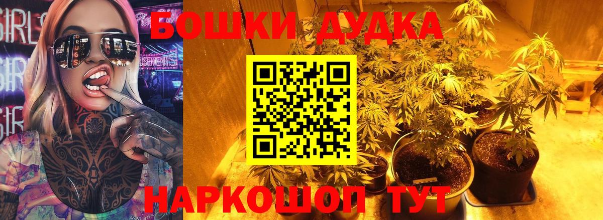 МАРИХУАНА сатива Элиста